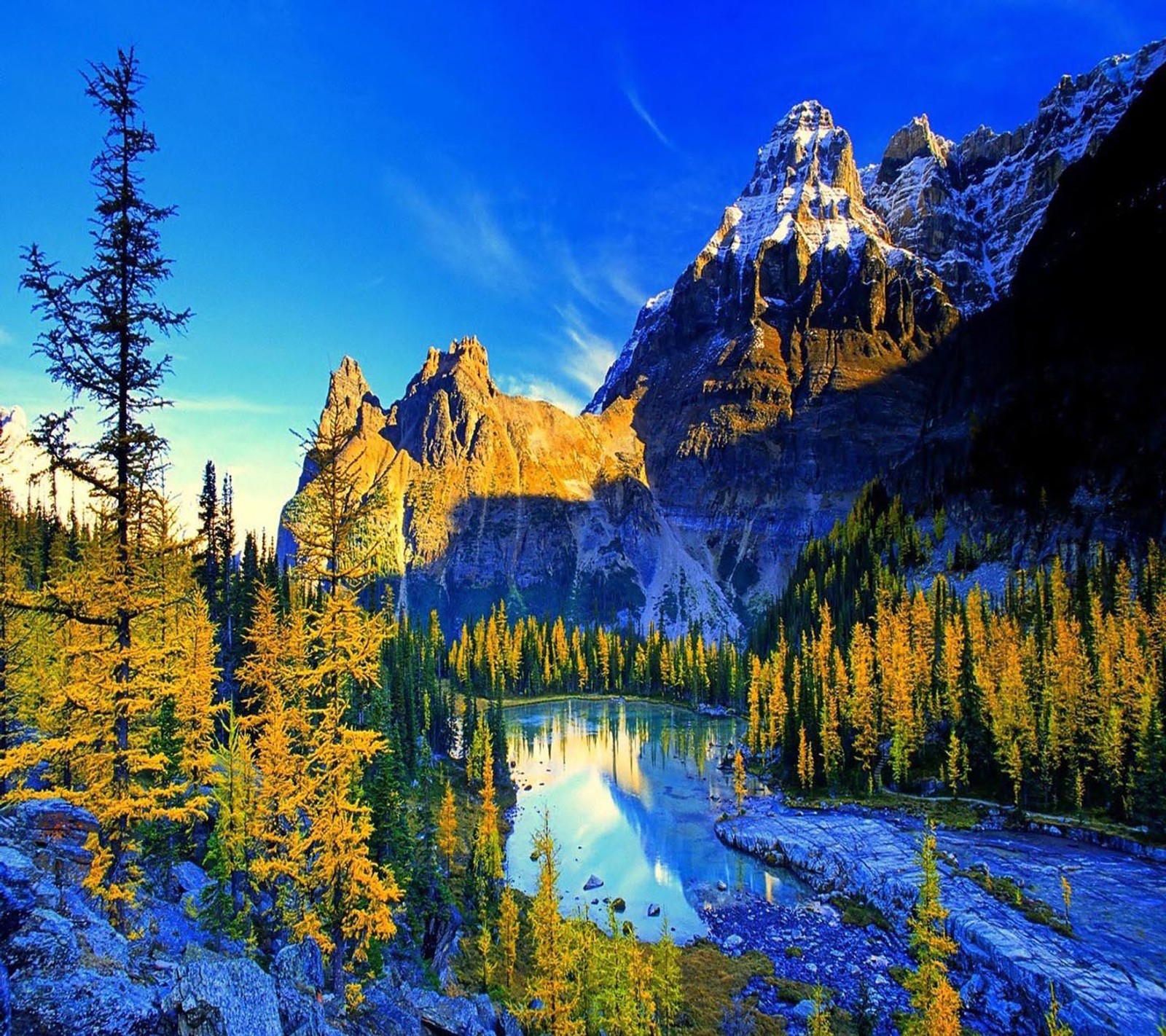 Paysage de montagne arabe avec un lac et des pins au premier plan (beau, mignon, regard, sympa)