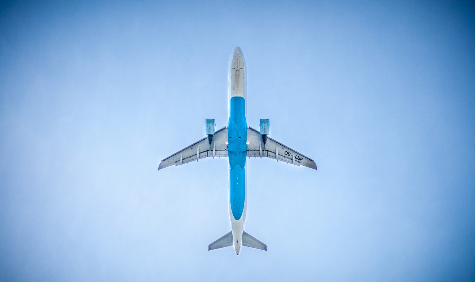 Araflane voando no céu com uma cauda azul (viagem, novo lugar, empolgante, ir)