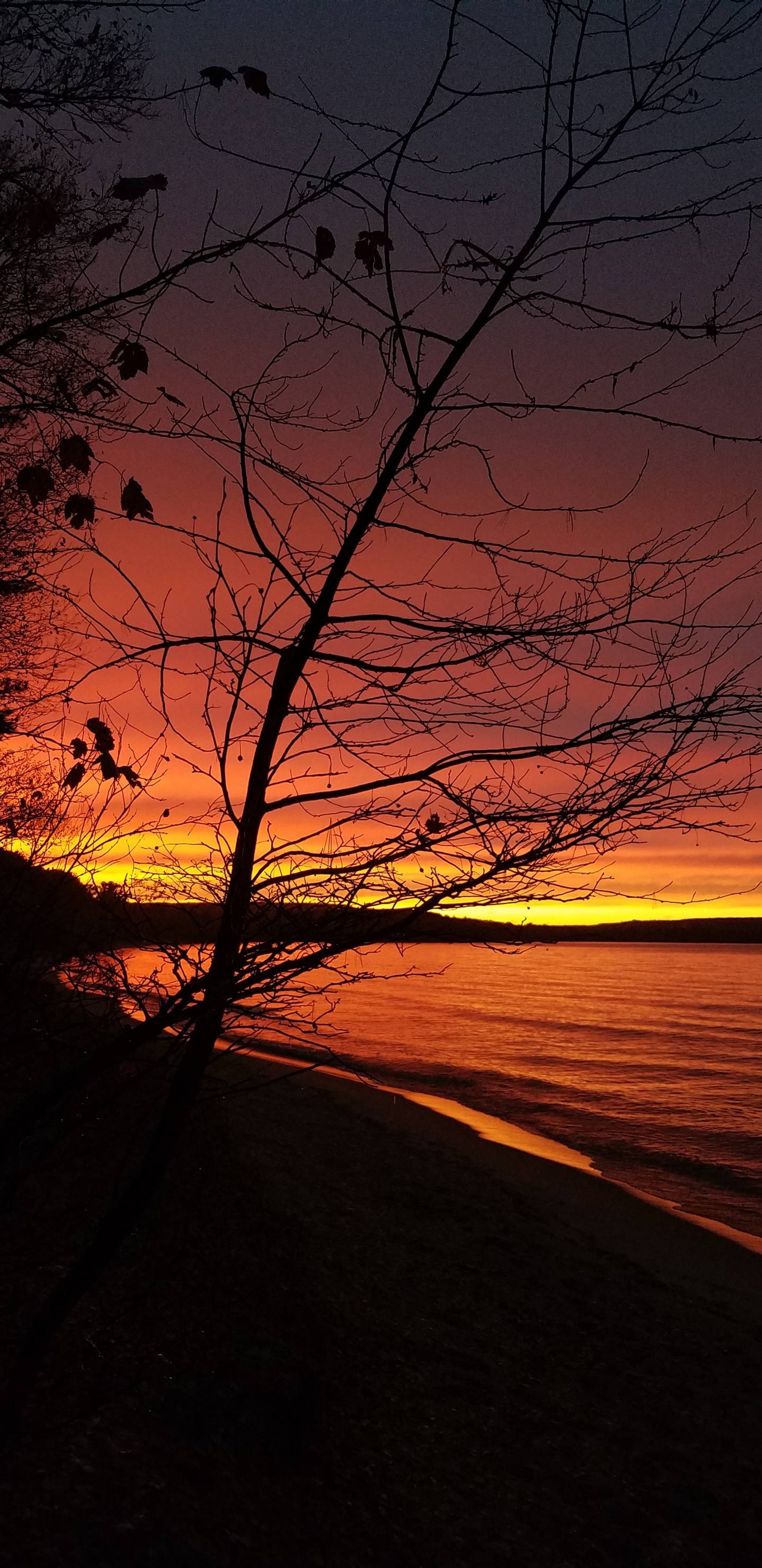 beautiful, sunset, tree, water wallpaper