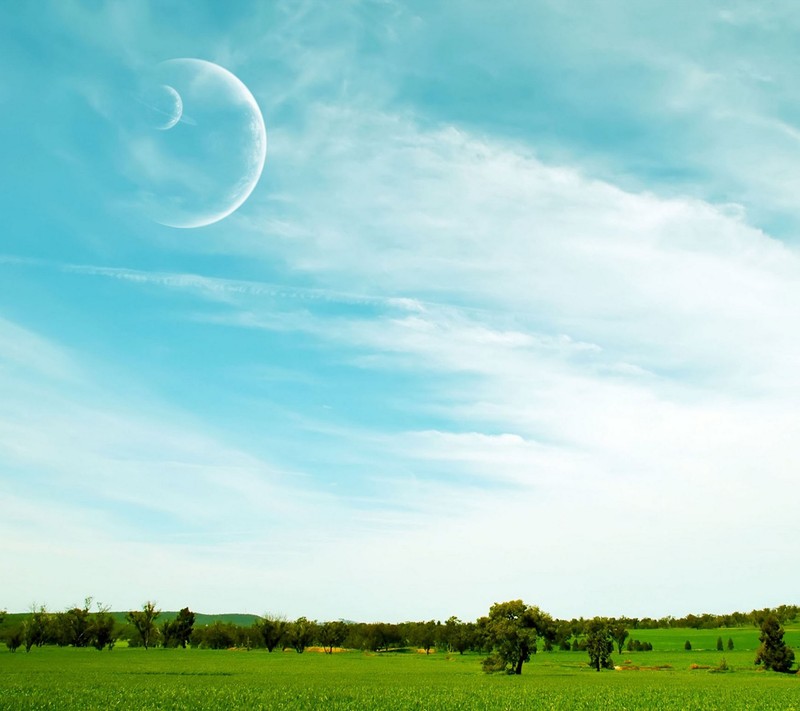 There is a large field with a few trees and a moon in the sky (clear, sky)