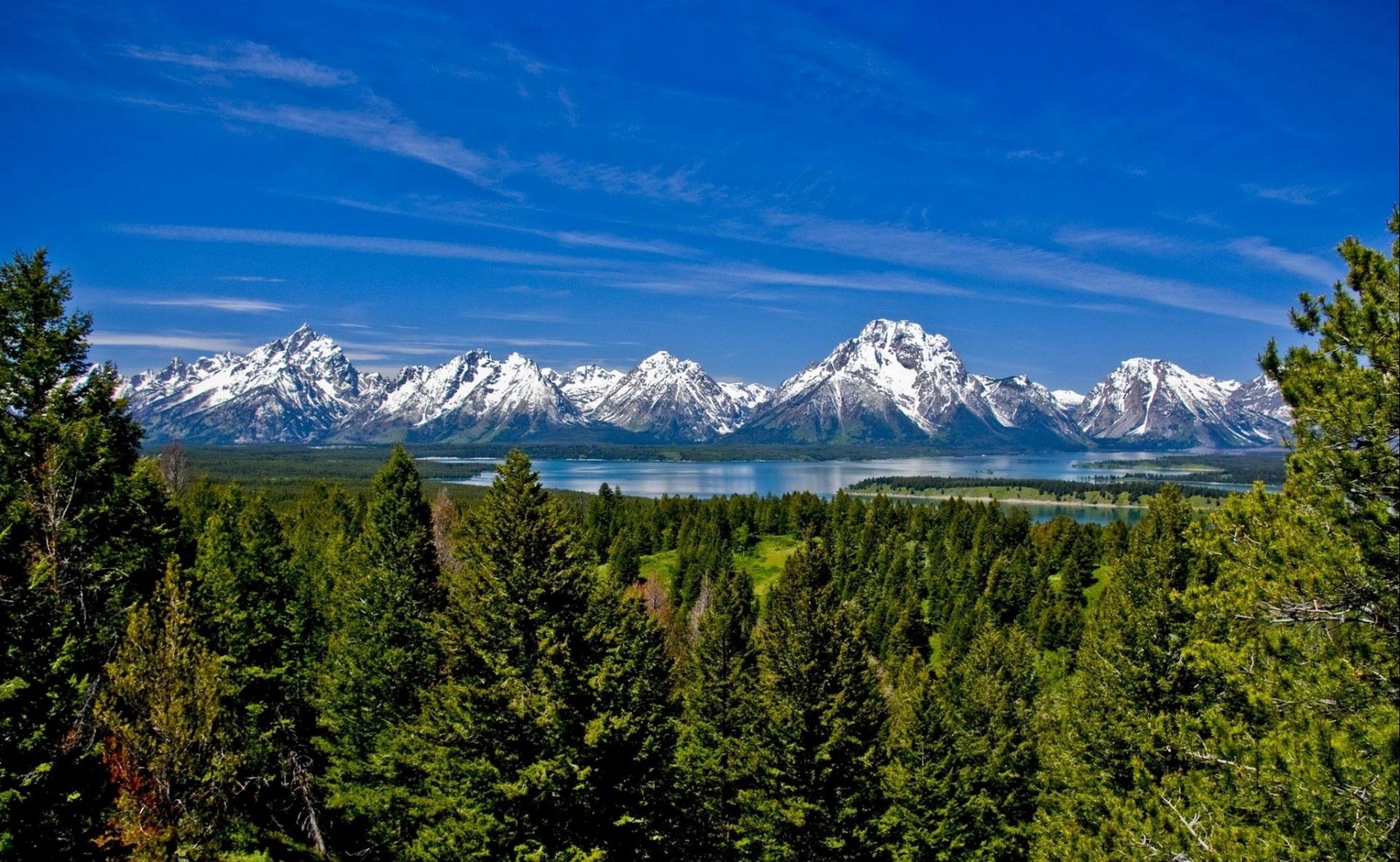 Vue des montagnes grand teton depuis le sommet de la montagne (grand teton, mont moran, mount moran, parc, parc national)