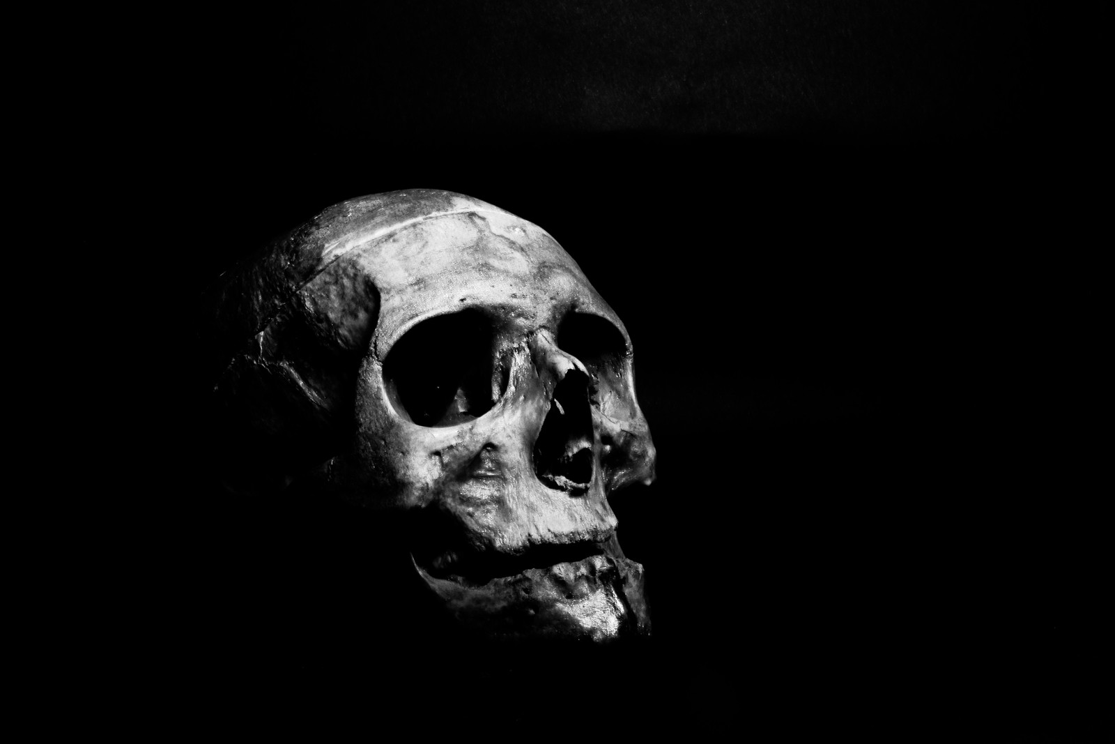 A close up of a skull in the dark with a black background (black and white, jaw, bone, skull, art)