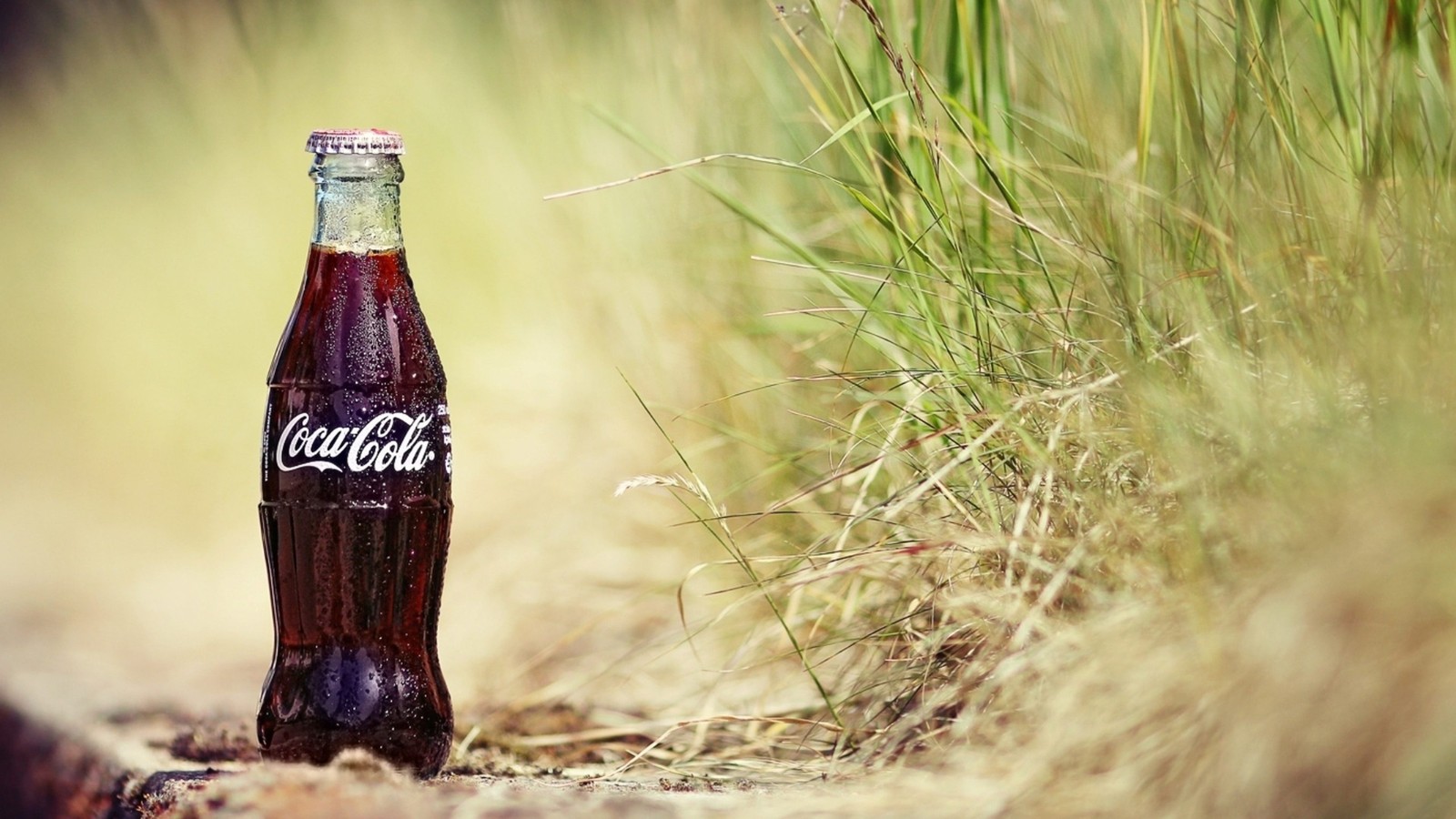 fizzy drinks, drink, coca cola, water, glass bottle wallpaper