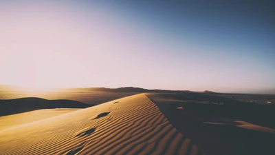 Dunes dorées sous un ciel clair au crépuscule