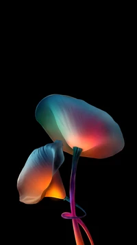 amoled, flower, art, colorfulness, graphics wallpaper