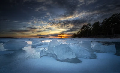 лед, вода, замораживание, зима, утро