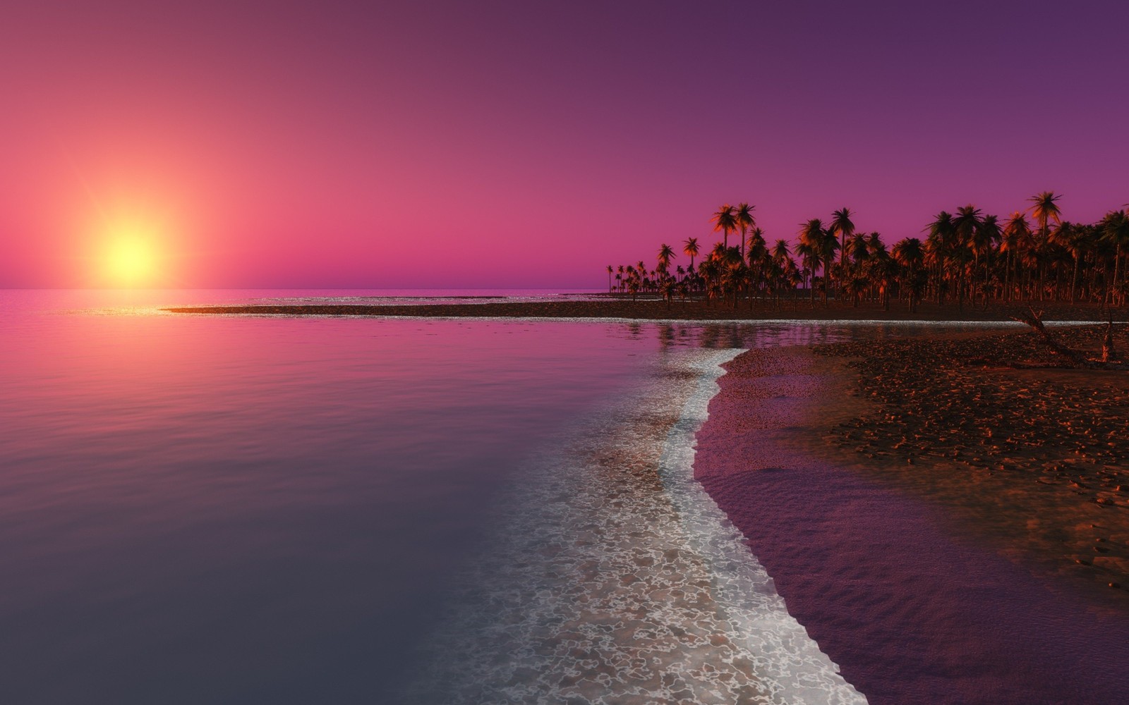 Una vista de una playa con palmeras y un atardecer (atardecer, horizonte, mar, orilla, cielo)