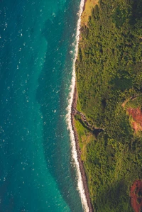 Paisagem costeira exuberante encontrando ondas turquesas