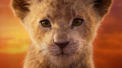 Nala from "The Lion King" gazes into the sunset, embodying courage and hope.