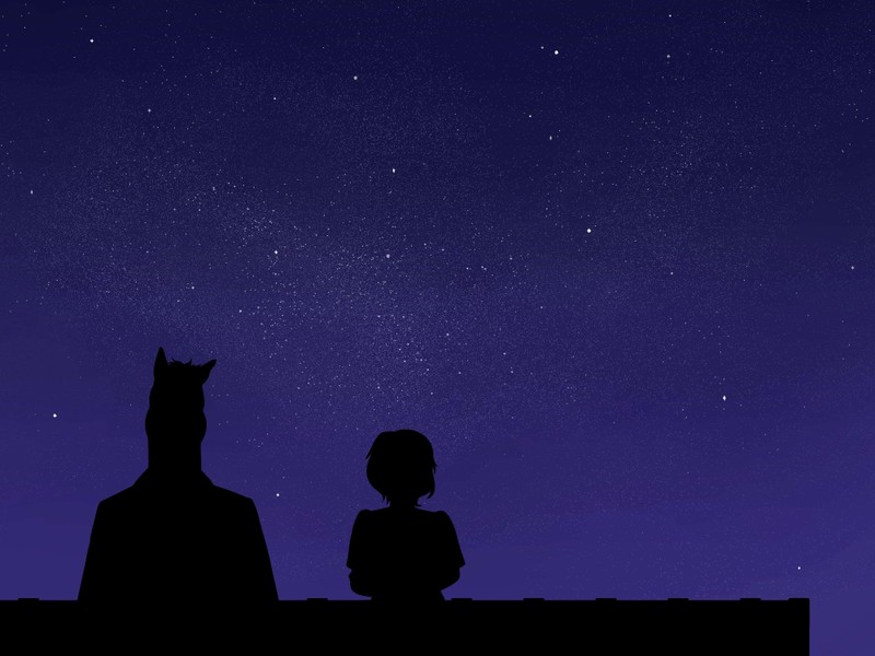 Бэтмен и кошка silhouetted против ночного неба со звездами (боджек хоусман, bojack horseman, диана нгуен, силуэт, ночь)