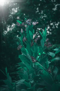 Grupo de borboletas em uma planta verde exuberante