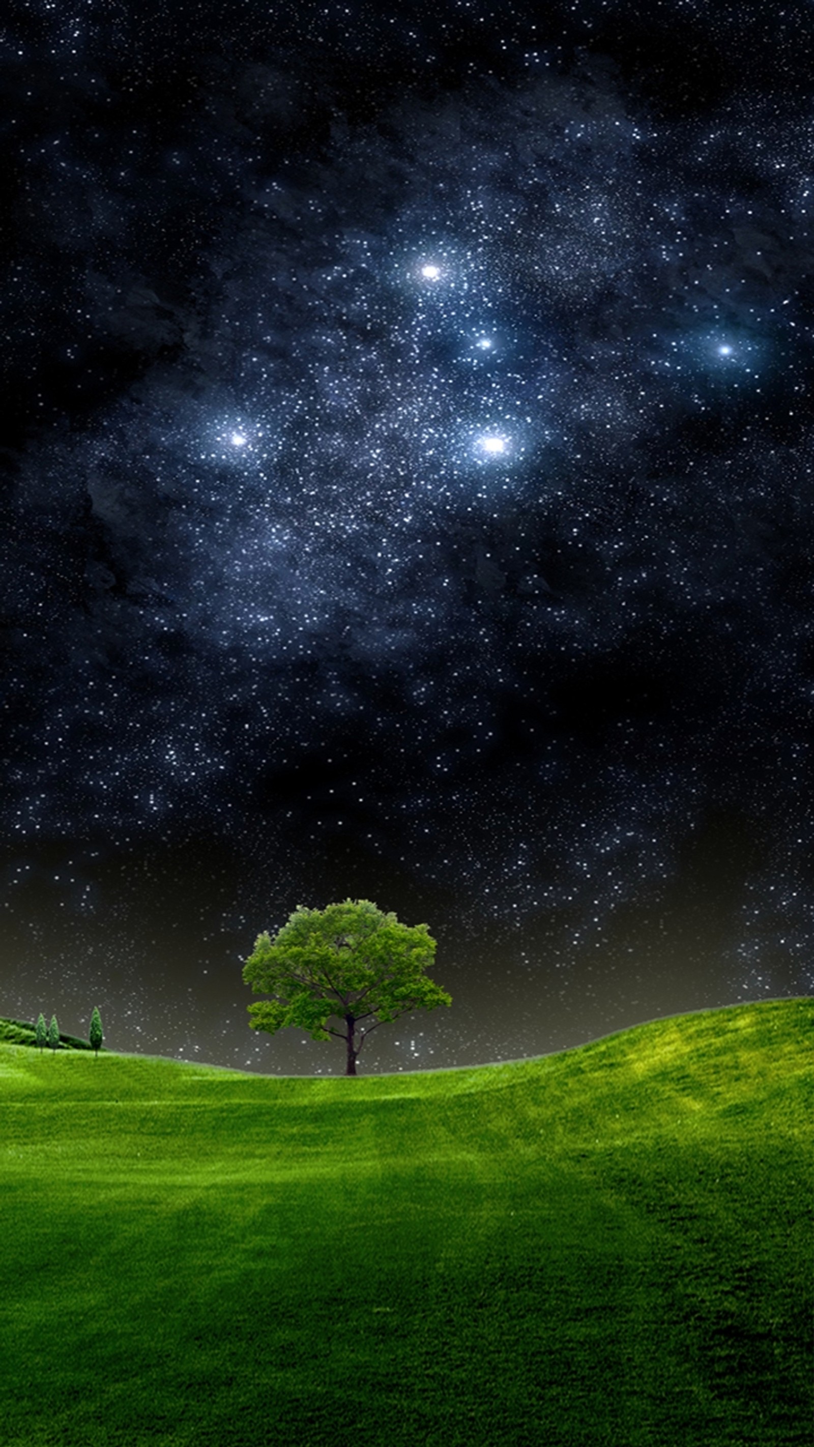 Uma árvore solitária em um campo gramado sob um céu estrelado (campo, hd, natural, natureza, novo)