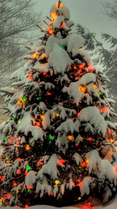 natal, feriado, luzes