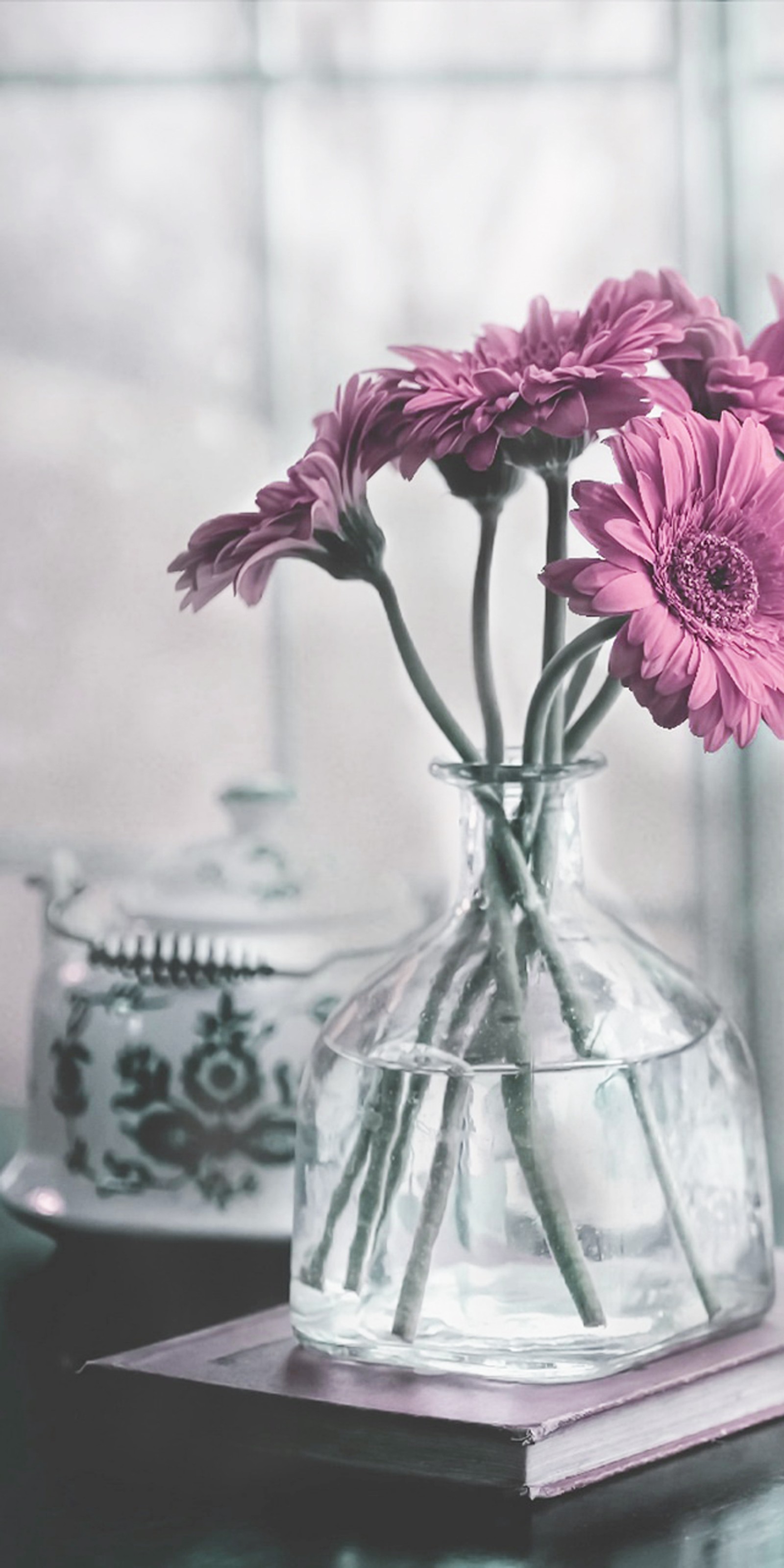 Purple flowers in a clear vase on a table next to a book (flower, pink)