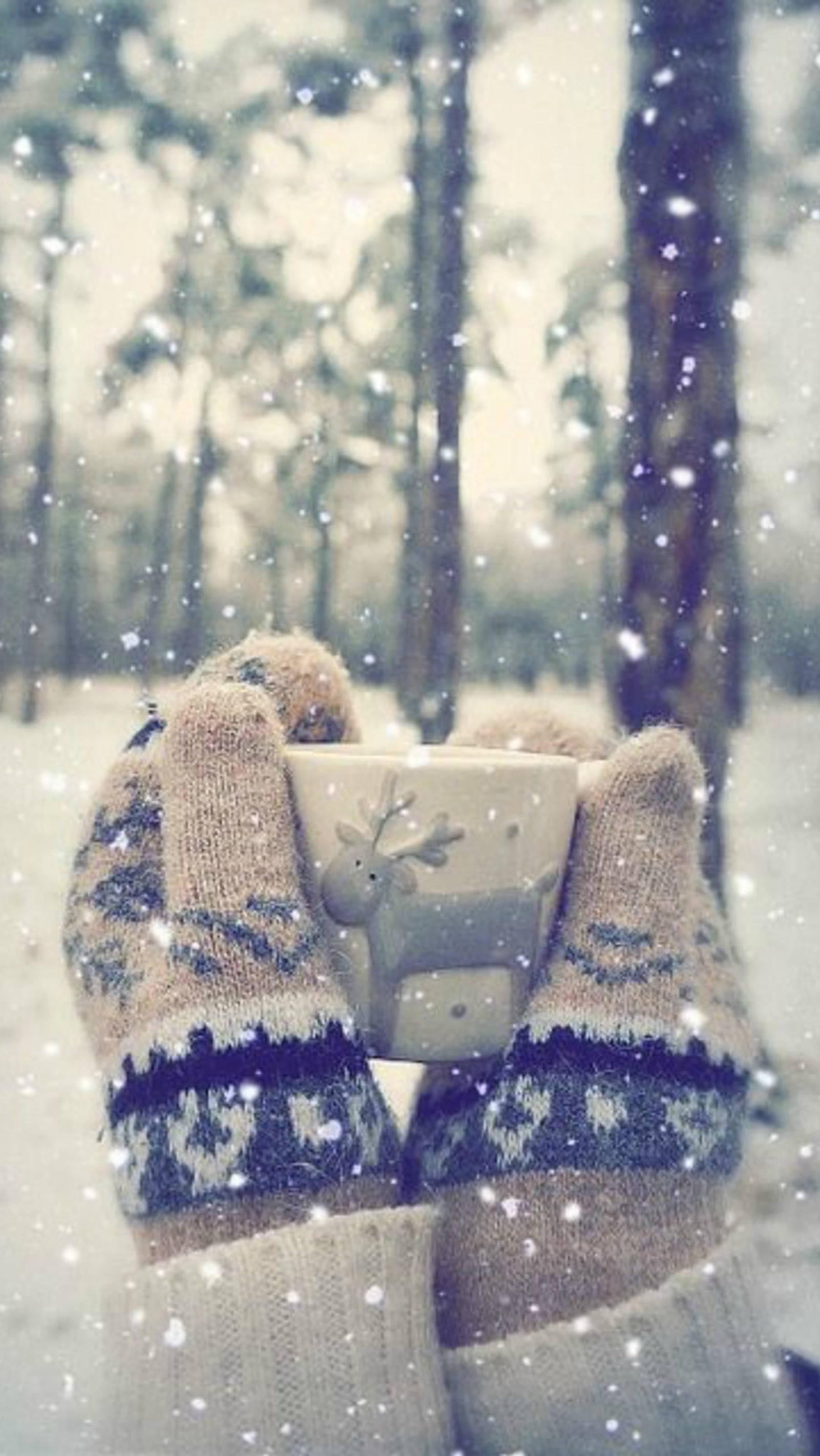 Someone holding a cup of coffee in their hands in the snow (cup, gloves, snow)