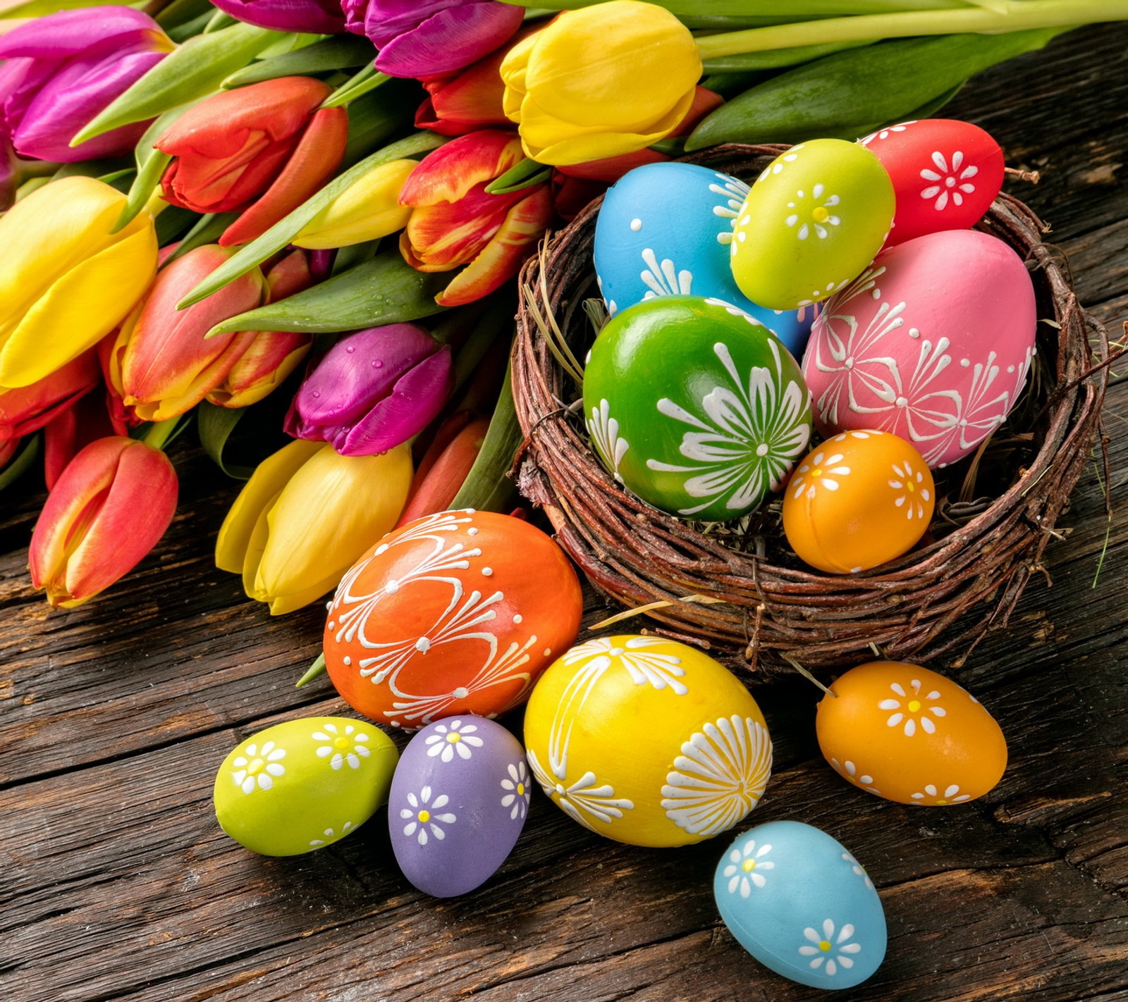 Gros plan sur un panier d'œufs de pâques colorés avec des tulipes. (coloré, pâques, œufs, printemps, tulipes)