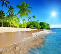 beach, holidays, ocean, palm, sea