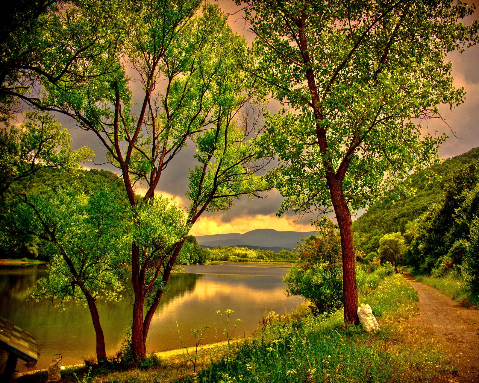 Trees and a bench on a path near a lake (beautiful, green nature river sky)