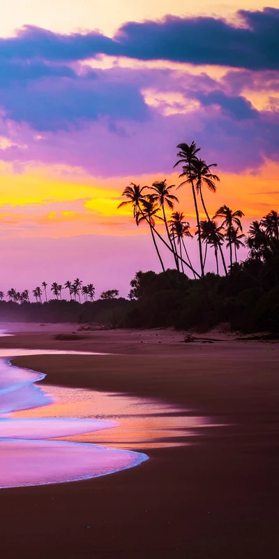 Sereno atardecer sobre una playa bordeada de palmeras