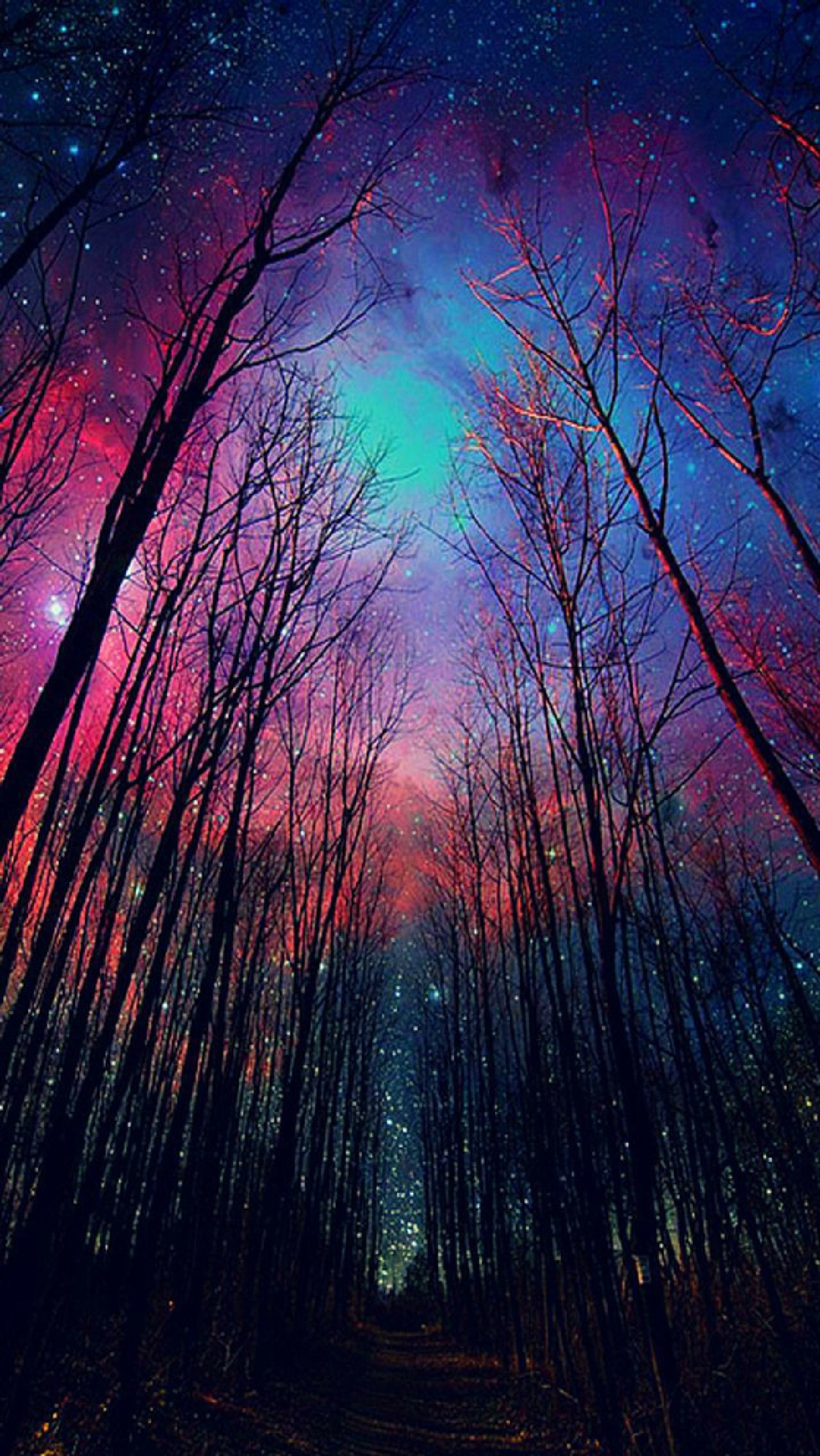 Una vista de un bosque con un cielo colorido y estrellas (árbol, cielo, brillante, estrellas, galaxia)