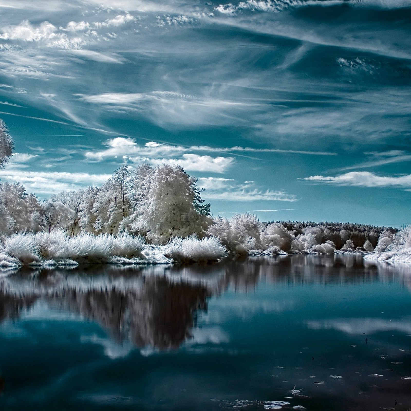 As árvores se refletem na água de um lago com um céu azul (lago, natureza, neve, inverno)