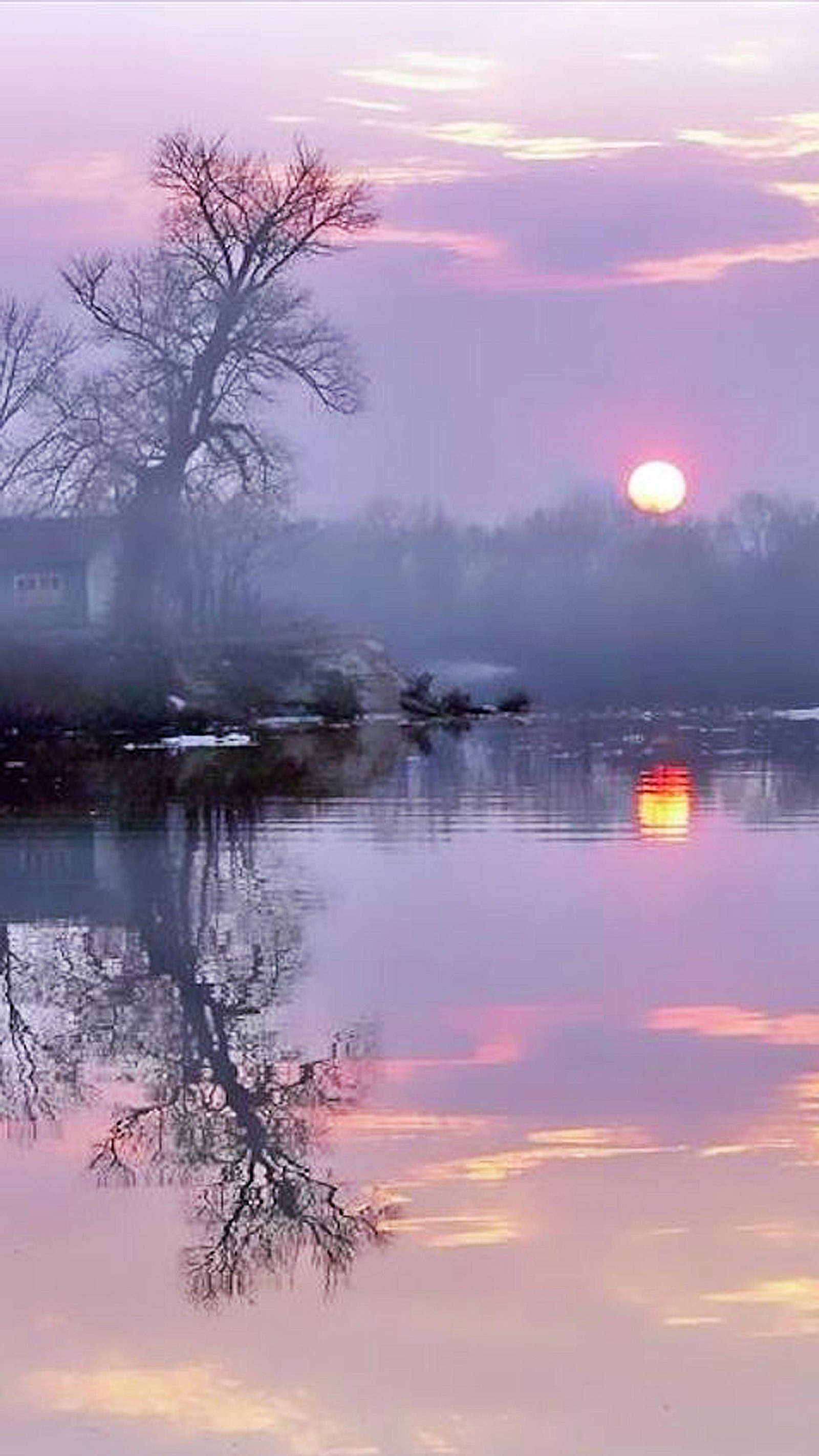 Lade see, morgen, rosa, himmel, sonne Hintergrund herunter