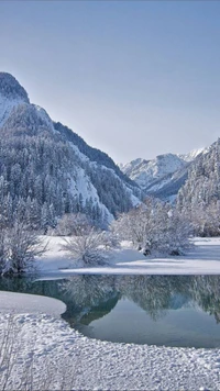 paisaje, nevado