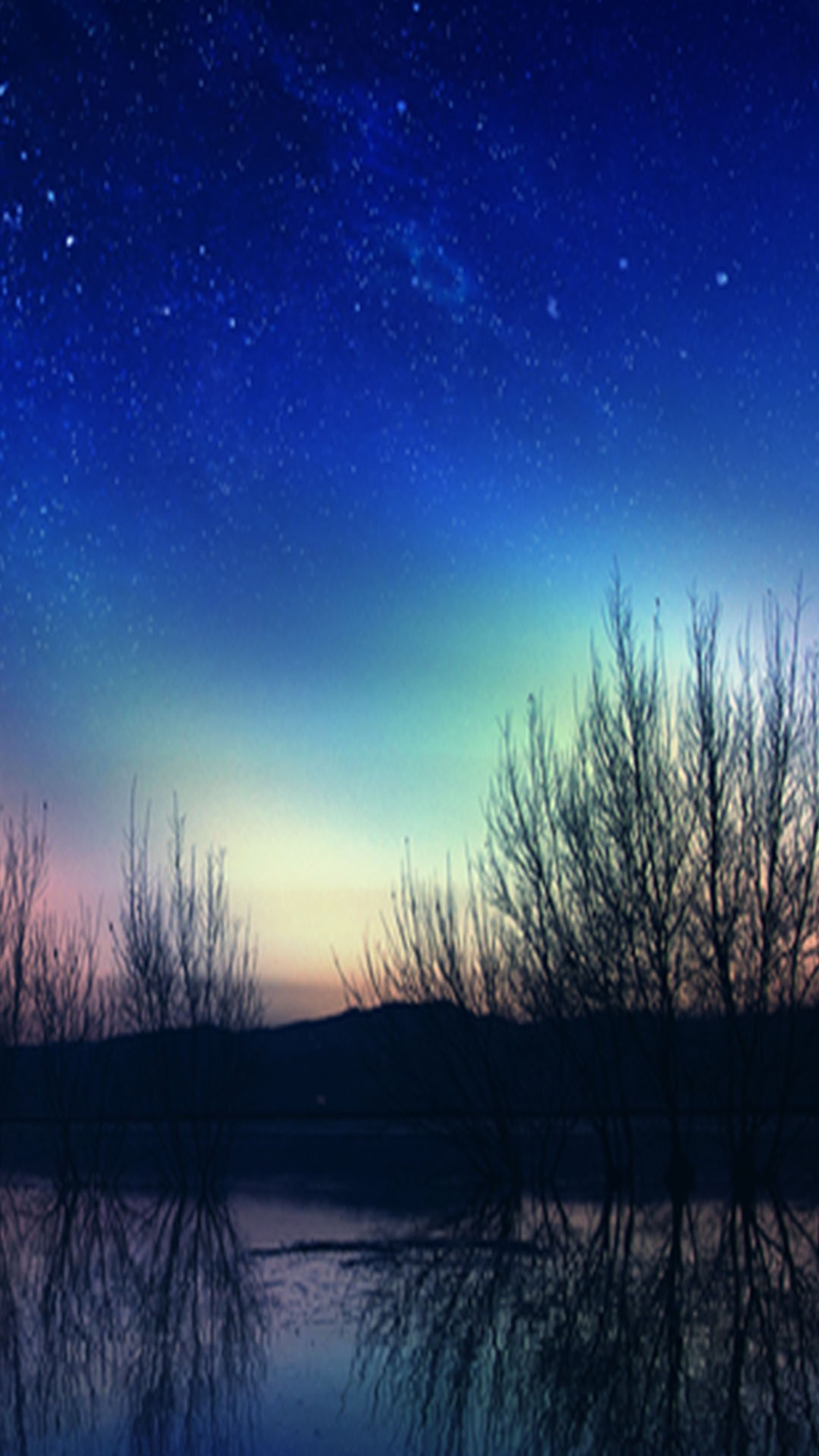 Trees are reflected in the water under a starry sky (fantasy, world)