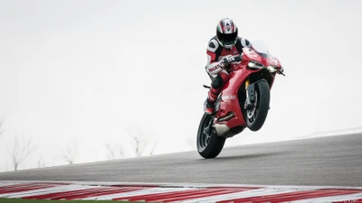 Ducati Panigale Superbike macht ein Wheelie bei hoher Geschwindigkeit