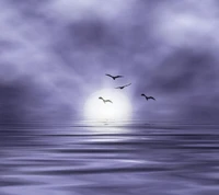 Serene Twilight: Birds in Flight Over a Misty Horizon