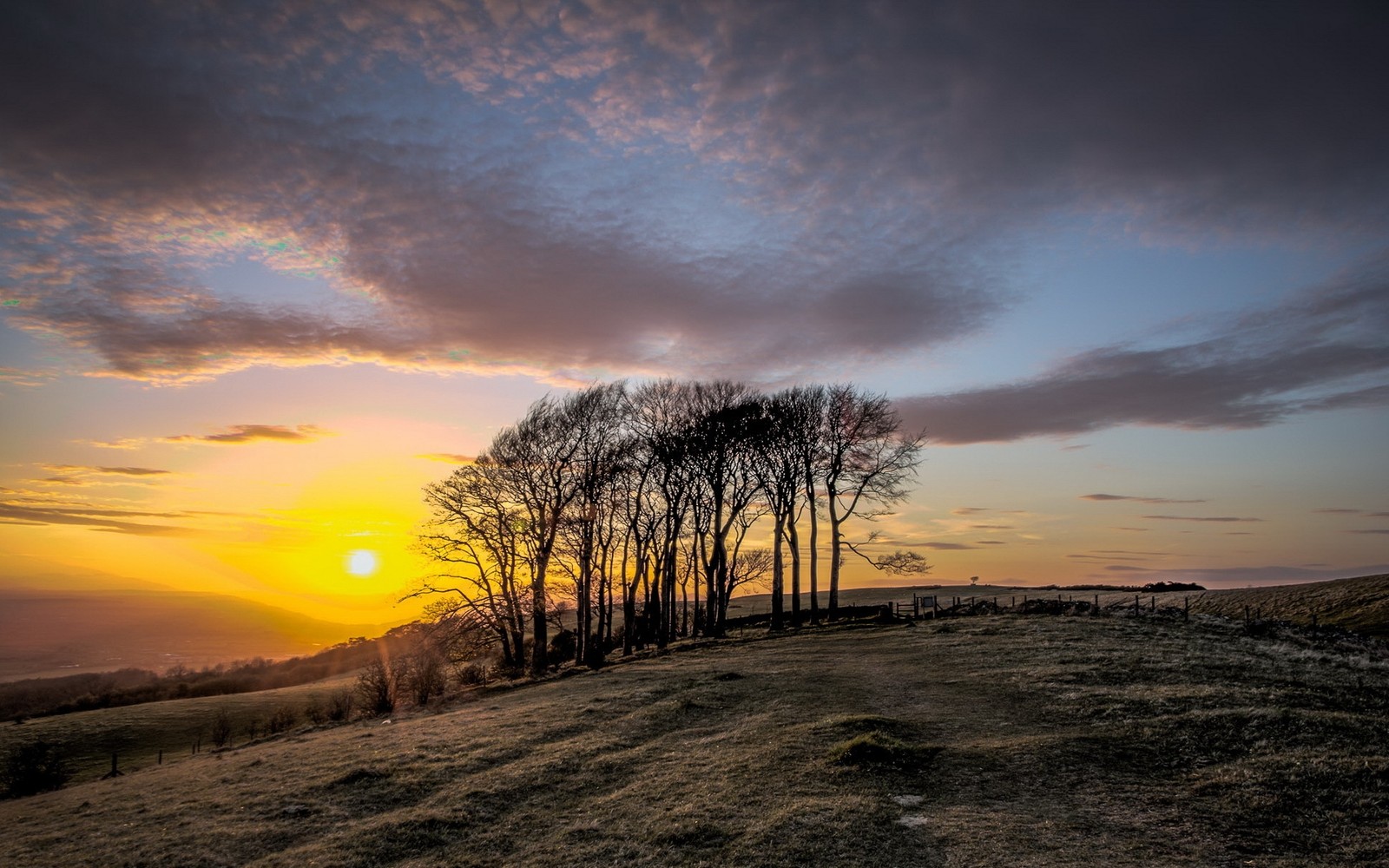 A view of a sunset with a few trees on a hill (sunset, horizon, sunrise, evening, tree)