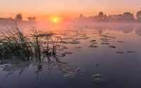 Ruhige Sonnenuntergangsreflexion über nebligen Feuchtgebieten