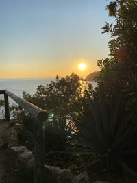 Amanecer sobre el mar tranquilo con vegetación exuberante