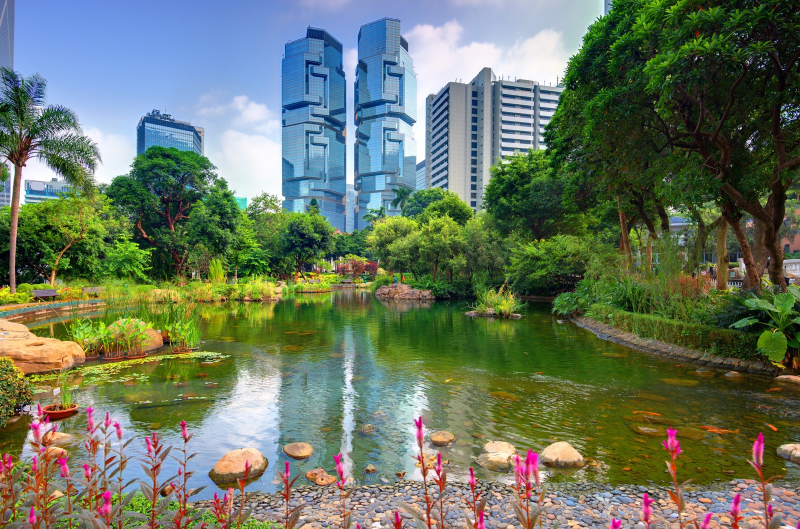 Araful view of a pond with a few pink flowers in the foreground (nature, park, amusement park, victoria peak, urban park)