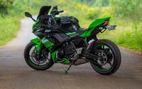 motorad, kawasaki motorräder, kawasaki ninja, zurück, motorradverkleidung