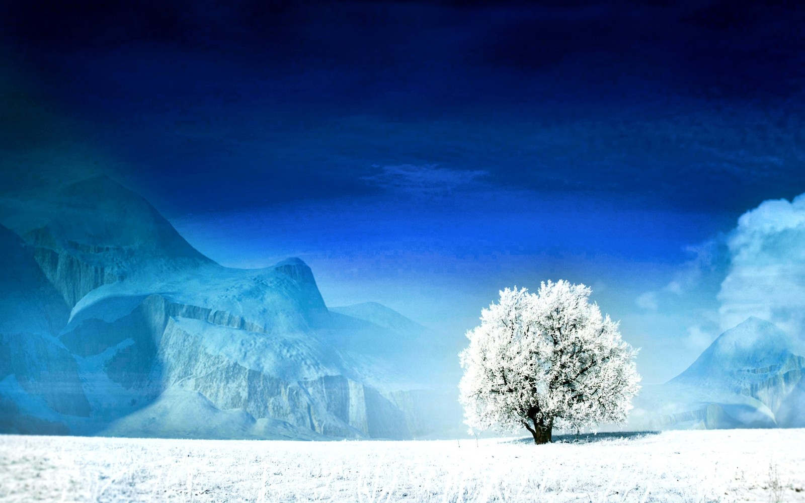 Árbol arafed en un campo nevado con montañas al fondo (árbol, nieve, naturaleza, invierno, congelación)