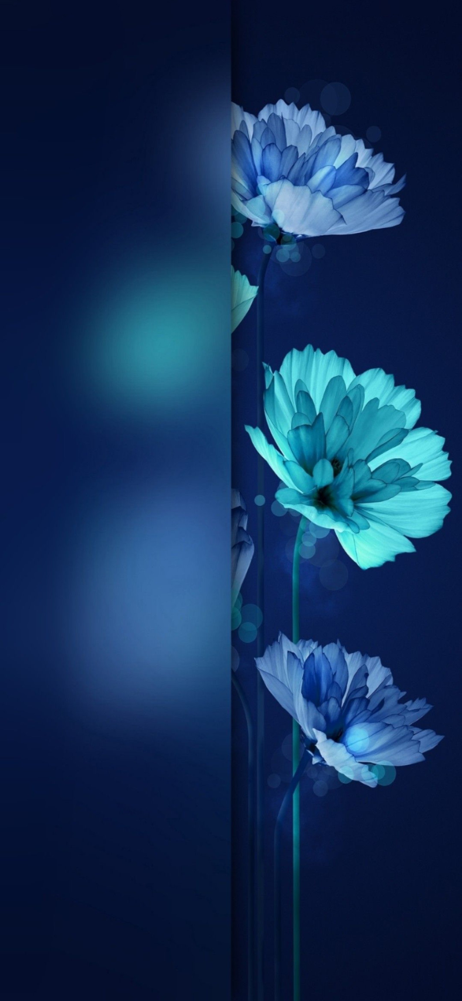 Il y a trois fleurs bleues dans un vase avec de l'eau sur le côté (fleur, rose, plante, bleu, azur)