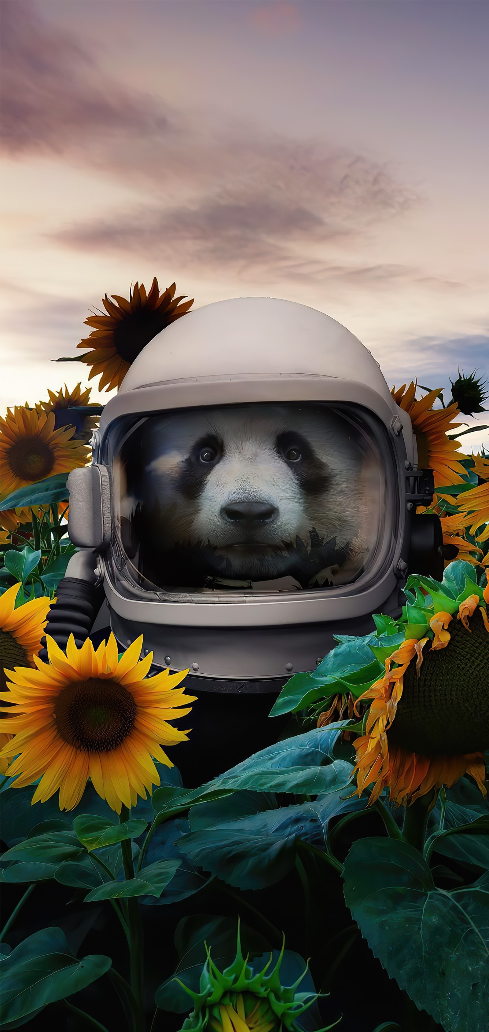 Araffe in a space suit in a field of sunflowers (sunflower, giant panda, flower, cloud, great dane)