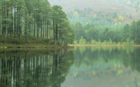 Reflexão serena em um cenário de lago selvagem