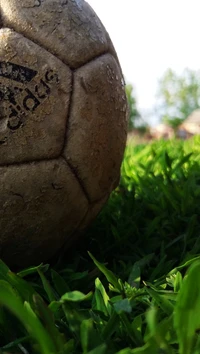 Worn Adidas Football Resting on Lush Green Grass in Summer Setting