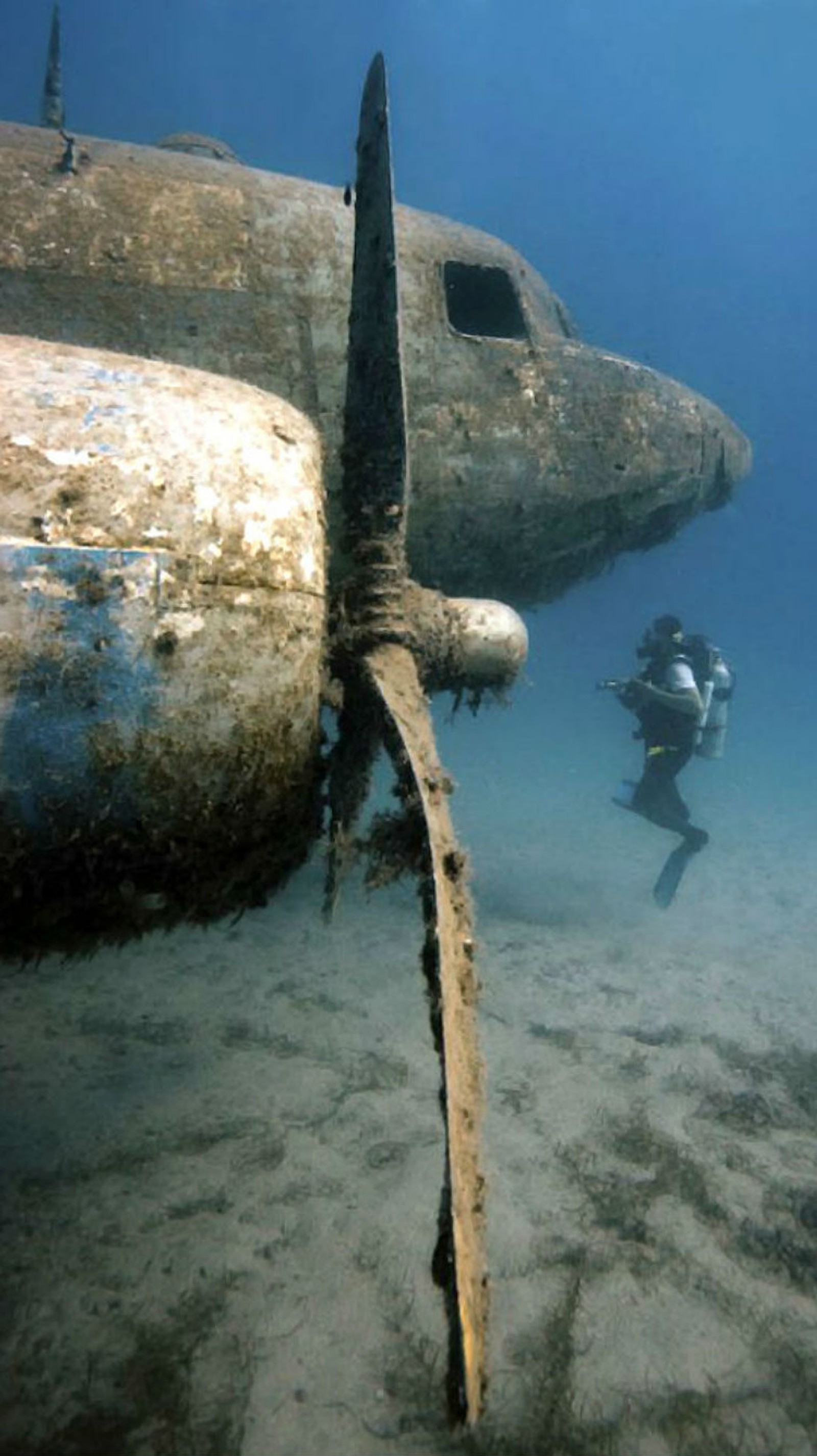 Eine arabeske propeller eines flugzeugs im ozean mit einem taucher (strand, ozean, omg, ebene, unter)