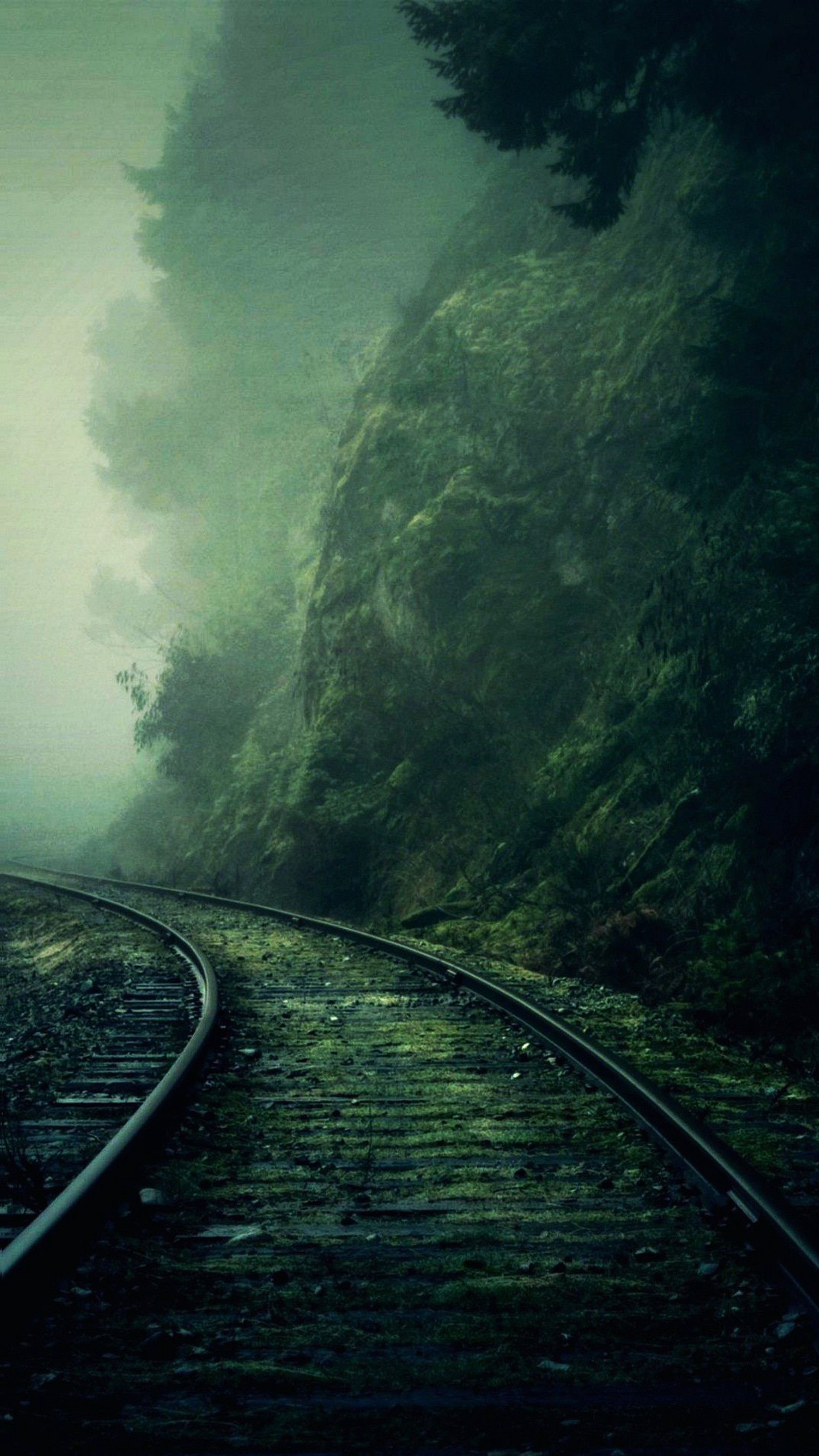 Uma ferrovia que passa pela floresta (dark train, tracks cliff)