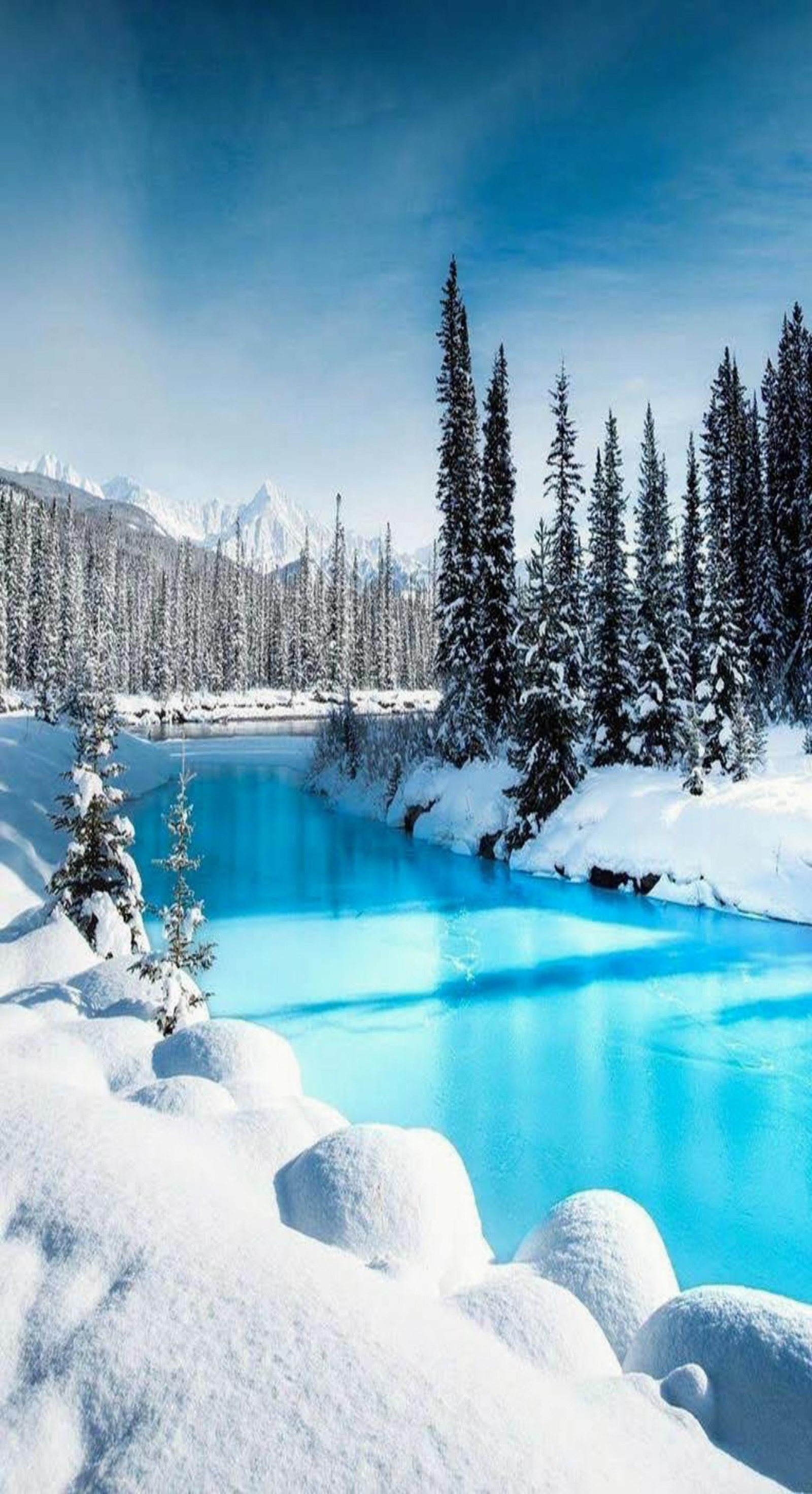 Eine luftaufnahme eines blauen sees, umgeben von schneebedeckten bäumen (frohes neues, landschaft, schnee, raum, jahr)