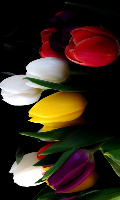 bokeh, fleurs, feuilles, nature