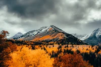 Autumn Majesty: Vibrant Larch Trees Against a Mountainous Backdrop