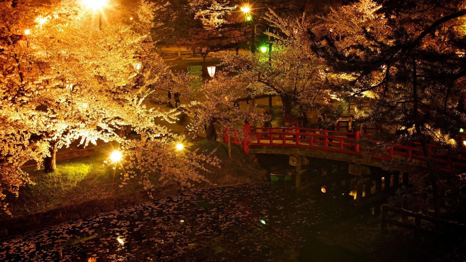 A close up of a bridge over a pond with trees in the background (nature, tree, night, lighting, leaf)