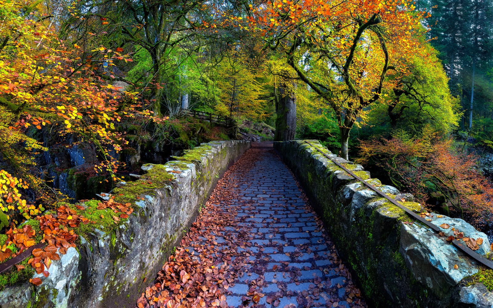 old bridge over river braan, hermitage, dunkeld, scotland, autumn trees wallpaper