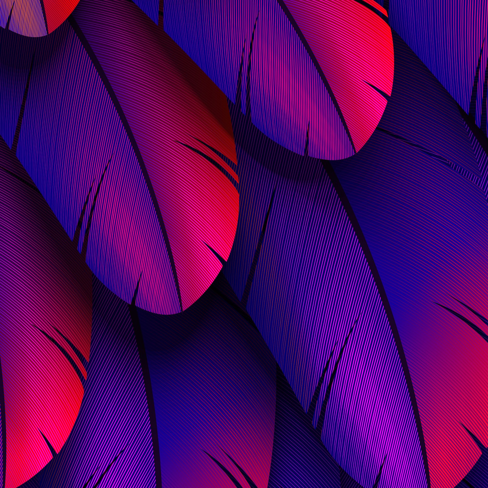 Gros plan d'un tas de plumes violettes et rouges (lumière, coloré, violet, azur, textile)