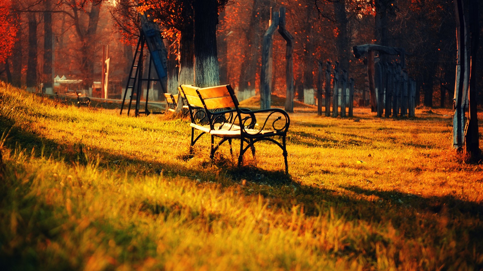 There is a bench that is sitting in the grass (nature, tree, leaf, autumn, morning)