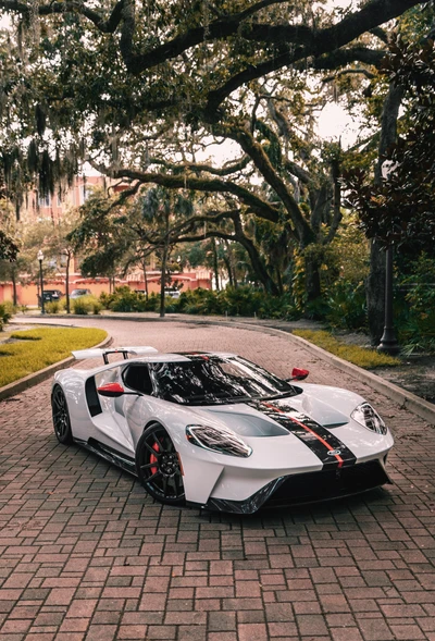 Ford GT: Desempenho elegante em um cenário pitoresco